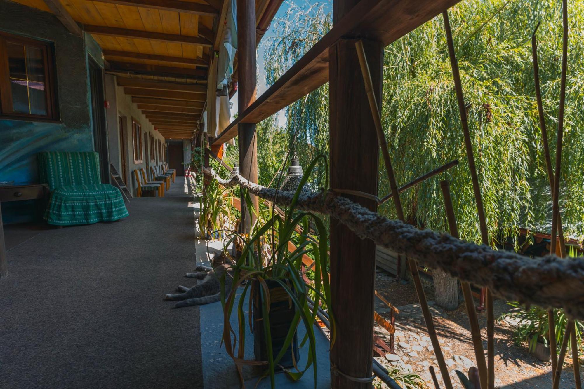 Casa Dexter Hotel Vama Veche Kültér fotó